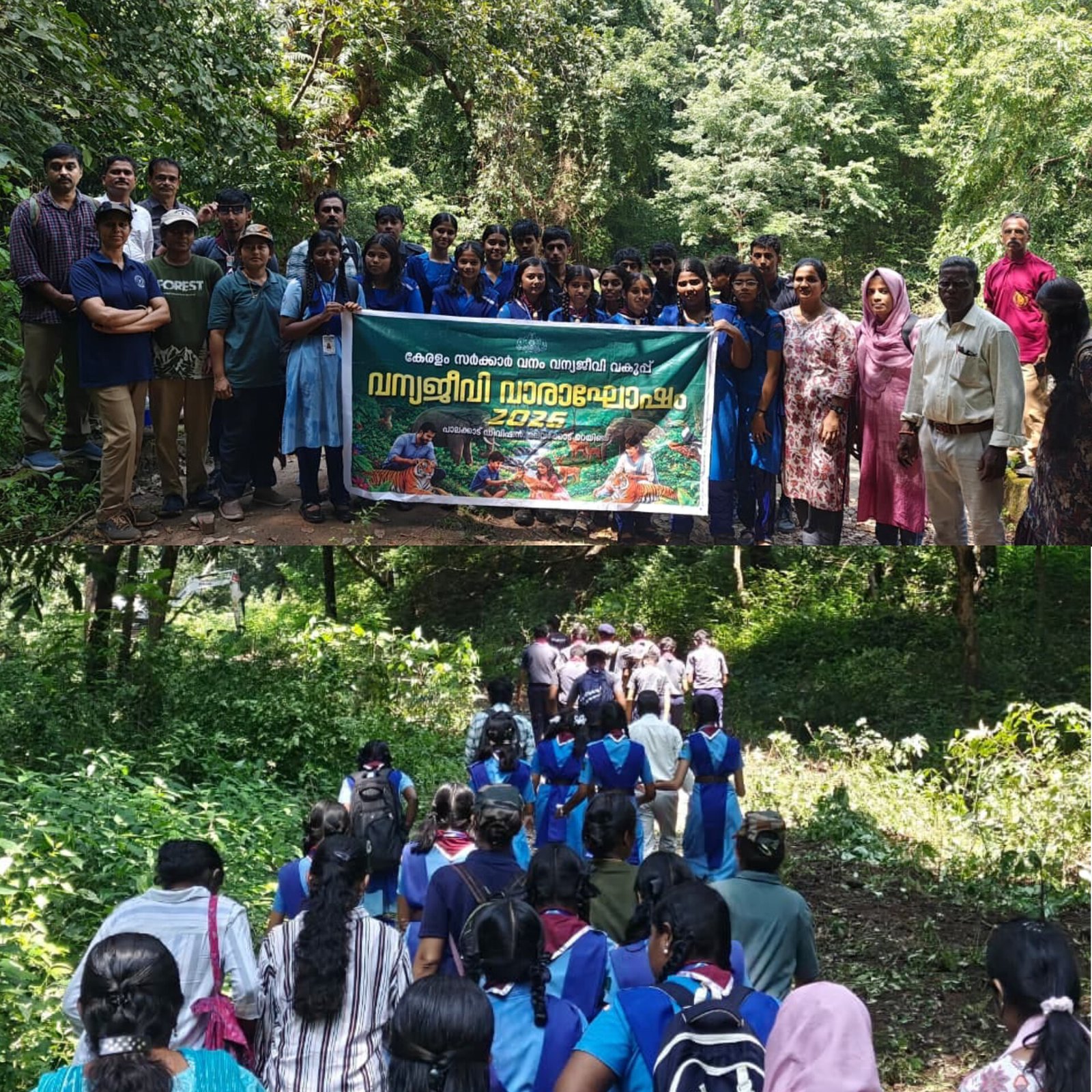 Forest Day Celebrations